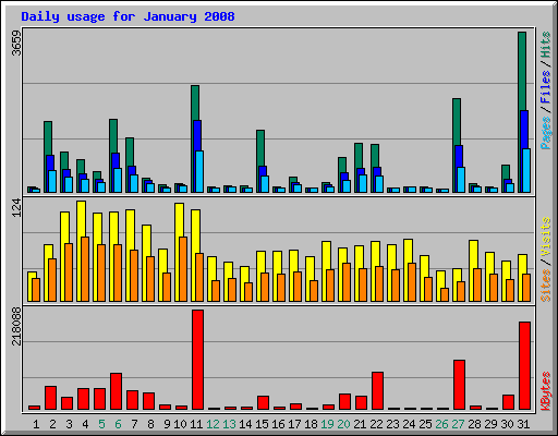 Daily usage for January 2008